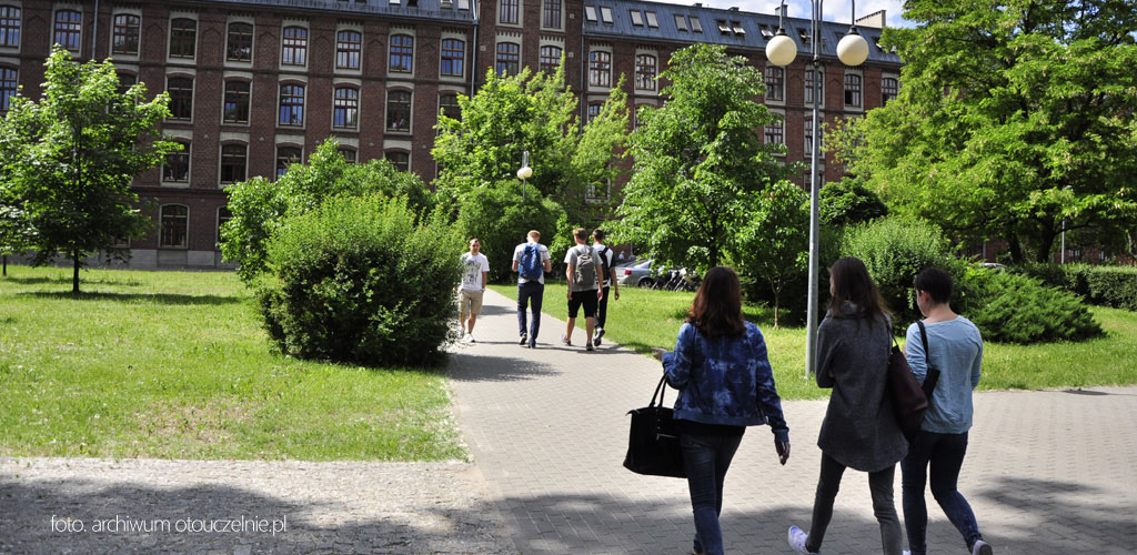 Dlaczego warto iść na studia na kierunku pedagogika we Wrocławiu?