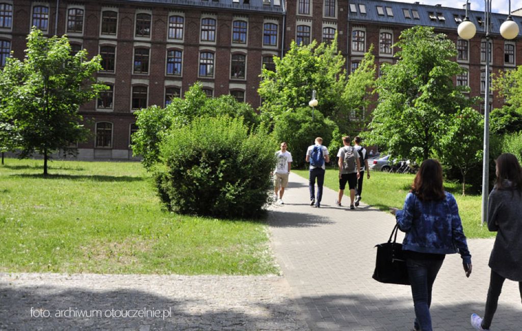 Edukacja artystyczna w zakresie sztuki muzycznej - Gdańsk, Gdynia, Sopot